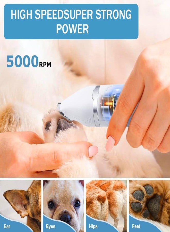 CRAZYABBS 4 In 1 Cat Grooming Trimming Set, Low Noise Cat Grooming Clippers Professional Hair Cutting Ideal for Shedding Seasons and Wound Care - USB Rechargeable - Image 3